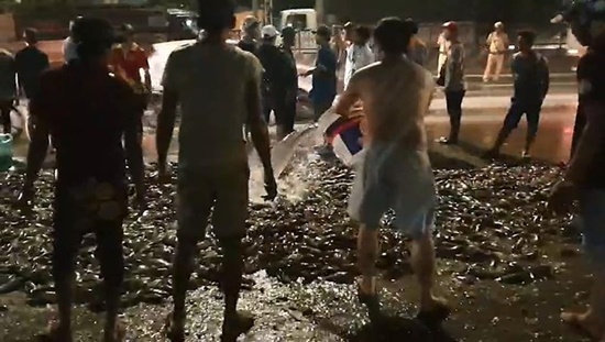 Người dân giúp bác tài gom gần 3 tấn cá sau khi xe tải lật ngang
