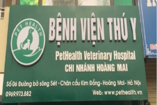 Quyết tâm trở thành bác sĩ thú ý vì tình thương với chó mèo hoang