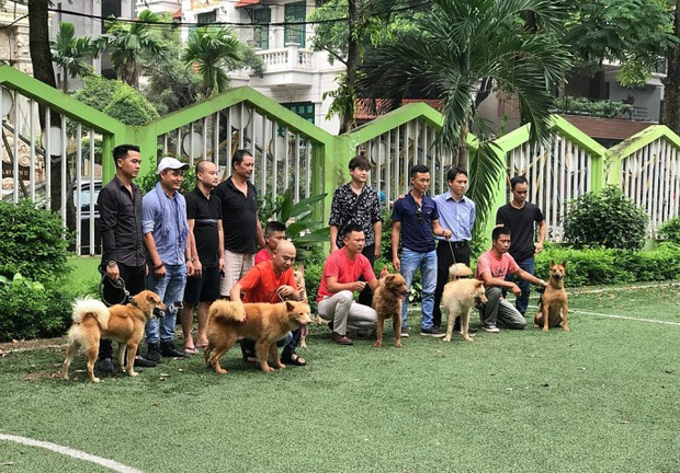 Tin tức giải trí mới nhất ngày 27/8/2019: Ekip 