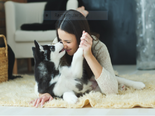 Sự may mắn của nữ chủ nhân khi thú cưng bị mắc Parvo