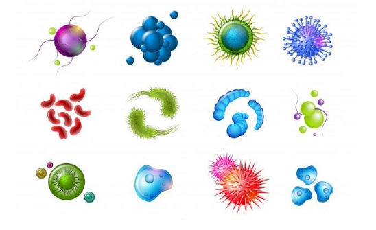 Tại sao cốm Subạc lại giúp phòng ngừa và hỗ trợ điều trị bệnh ngoài da do virus? 