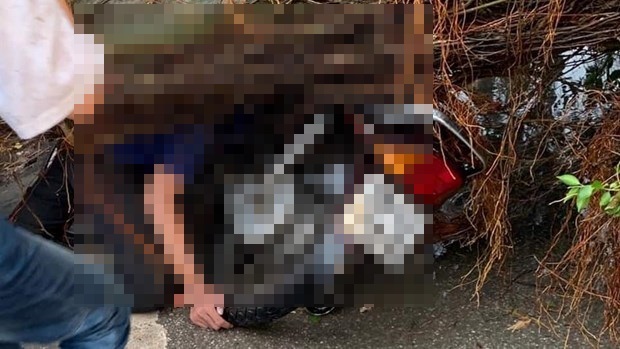 Tin tức tai nạn giao thông mới nhất hôm nay 30/8/2019: Nam thanh niên đi xe máy bị cây đè tử vong