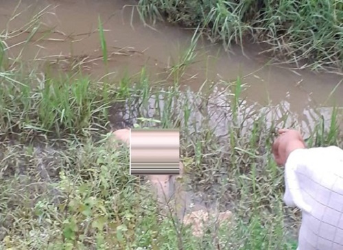 Phát hiện người đàn ông tử vong bất thường giữa cánh đồng lúa với nhiều vết thâm tím