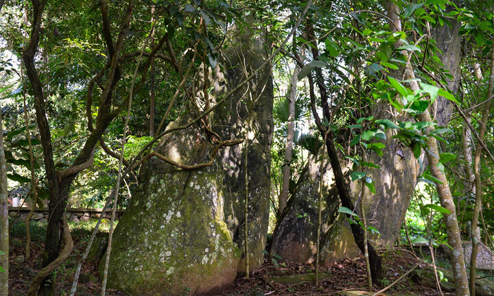 Thăm địa danh bí mật được chính Bác Hồ chọn làm căn cứ của Trung ương Đảng