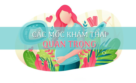 Các mốc khám thai quan trọng
