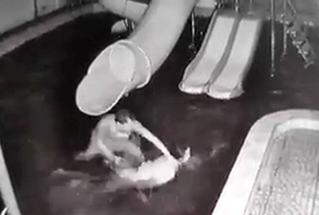 Xác minh clip chồng đánh đập vợ từ dưới hồ nước lên tận bờ trước mặt con nhỏ ở Tây Ninh