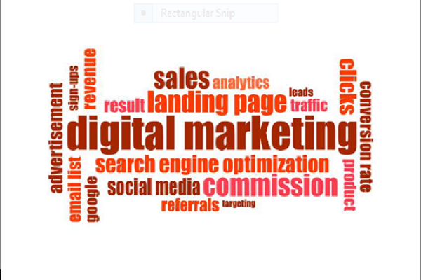 Mô hình phát triển và SEO nội dung tiếp thị đại dương xanh