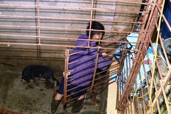 Đường dây trộm hơn 100 tấn chó ở Thanh Hóa: Đào cả hầm 