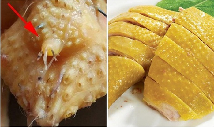 Những bộ phận cực độc của vịt, gà, lợn thèm mấy cũng không ăn kẻo rước bệnh vào người