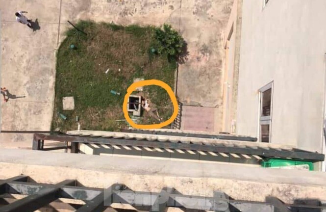 Con trai 2 tuổi bị đuối nước, mẹ quẫn trí nhảy từ tầng 7 bệnh viện xuống sân tự tử