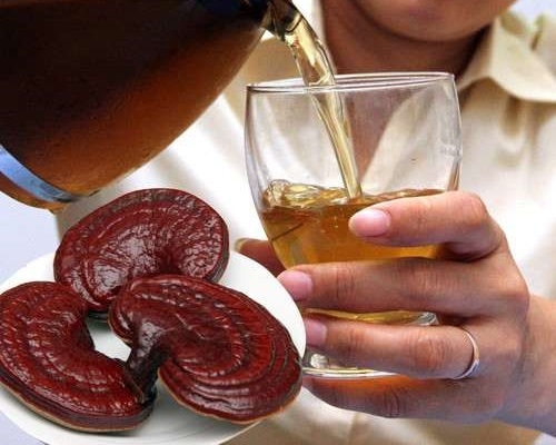 Đừng uống linh chi theo cách này để tránh gây hại cho sức khỏe
