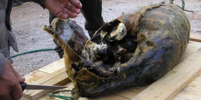 Rùng mình với món 