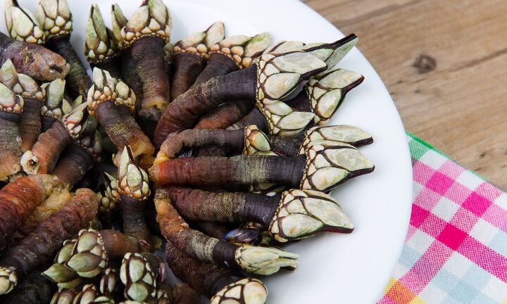 Rùng mình với tên gọi “ngón tay thần chết” nhưng hương vị của nó thì quá xuất sắc 