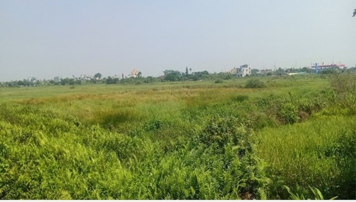 Thái Bình: Hai cán bộ ngân hàng bị khởi tố