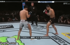 Video: Võ sĩ Đức tung cú đấm móc ‘búa tạ’ khiến cao thủ Brazil bật ngửa