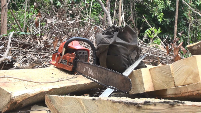 Phú Yên: Truy tìm nhóm lâm tặc phá rừng Hòn Đác 