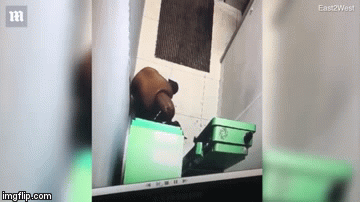 Tên trộm tử vong sau khi dùng thuốc nổ đánh cắp tiền trong cây ATM