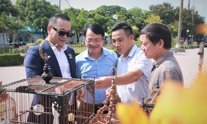 Dàn chim  "khủng " xuất hiện giữa phiên chợ Nông sản và thông điệp cần suy ngẫm