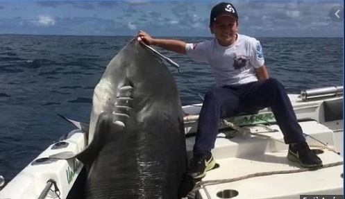 Video: Choáng váng xem