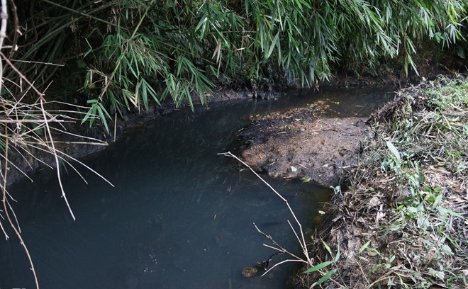 Thủ tướng giao bộ Công an điều tra vụ nguồn nước sông Đà bị ô nhiễm