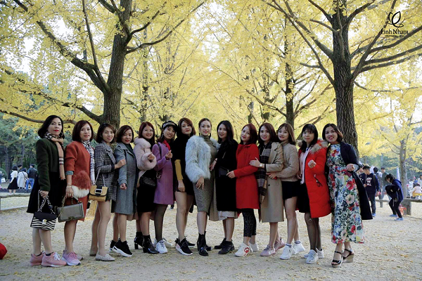 Chịu chơi như Linh Nham group – đưa đại lý sang ngắm mùa thu tại xứ sở kim chi Hàn Quốc