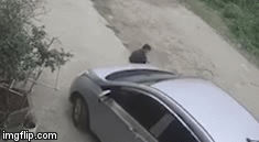 Video: Khoảnh khắc bé trai thoát chết thần kì khi bị cuốn vào gầm ô tô