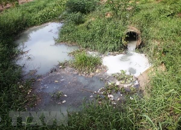 Bắt quả tang công ty giấy xả nước thải ra môi trường