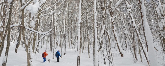 Du lịch Nhật Bản mùa đông: đừng bỏ qua “thiên đường” trượt tuyết Fukushima