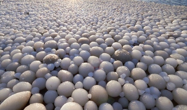 Choáng ngợp trước hàng ngàn quả