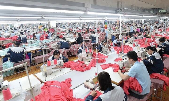 May Sông Hồng dự chi khoảng 225 tỷ đồng tạm ứng cổ tức bằng tiền mặt cho cổ đông