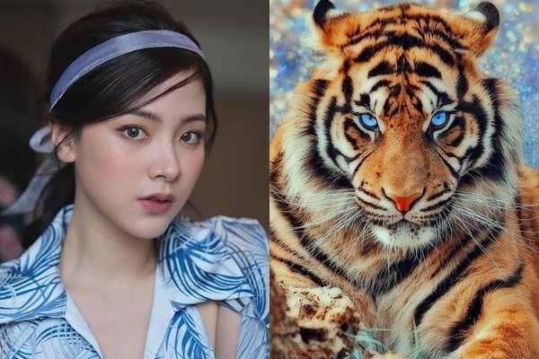 Đàn ông giàu có cũng đừng hy vọng dụ dỗ được 3 con giáp này bởi họ không yêu vì tiền