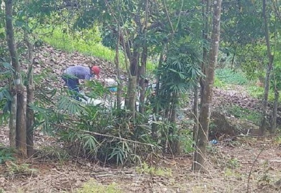 Vụ phát hiện thi thể không nguyên vẹn trong vườn điều: Chi tiết lạ khi trích xuất camera