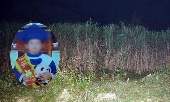 Tin tức pháp luật mới nhất ngày 29/11/2019: Khởi tố vụ mẹ kế sát hại con chồng ở Tuyên Quang