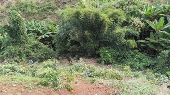 Tin tức pháp luật mới nhất ngày 1/12/2019: Kinh hoàng lời khai của thiếu niên 14 tuổi dìm chết bạn ở Đắk Nông