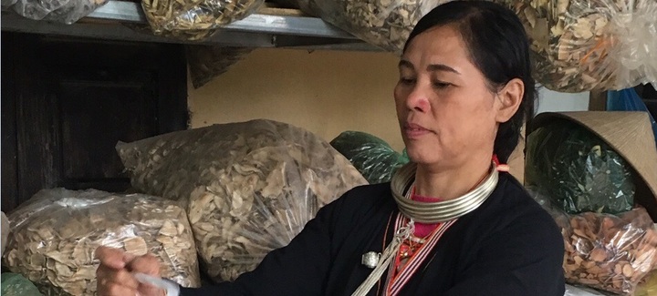 Tương truyền gia tộc 5 đời chữa khỏi đau nhức xương khớp nhờ núi rừng trù phú