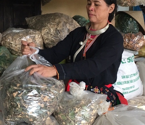 Bài thuốc chữa khỏi cho hàng ngàn bệnh nhân đau nhức xương khớp bằng y học dân tộc