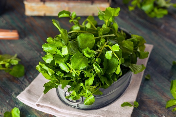 Không ngờ cải xoong chống được ung thư, không ăn phí cả 1 đời