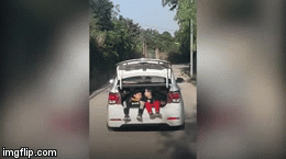 Video: Thót tim 2 bé trai ngồi trong cốp ô tô vi vu trên đường
