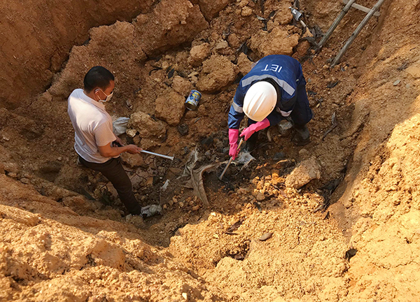 Giám đốc đổ trộm chất thải ở Sóc Sơn đối diện hình phạt nào?