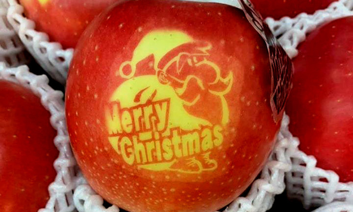Xôn xao táo Giáng sinh độc lạ có giá 500 nghìn/quả  
