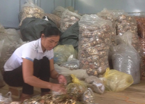 Xương khớp đau nhức vào mùa lạnh và cách chữa trị bằng nam y 