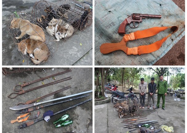 Tin tức pháp luật mới nhất ngày 5/1/2020: Bắt nhóm trộm chó chém công an bị thương