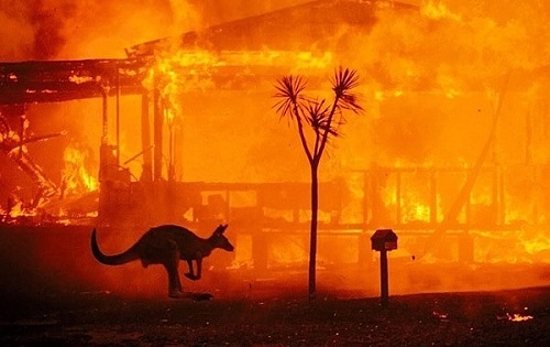 Hơn 180 người bị xử phạt vì các hành vi gây ra cháy rừng ở Australia