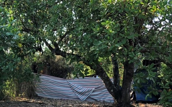 Tin tức thời sự mới nóng nhất hôm nay 12/1/2020: Thi thể bé sơ sinh bỏ trong bao tải giữa vườn điều