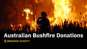 Giới nhà giàu Australia 'tung' hàng trăm triệu đô vào thảm họa cháy rừng