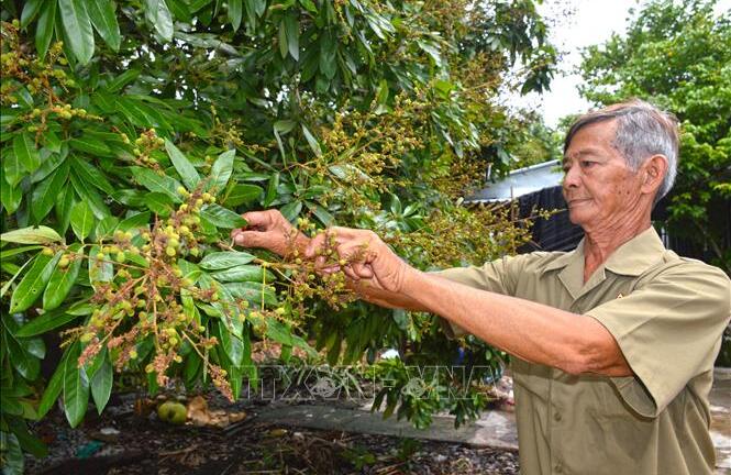 Bí quyết kiếm hàng chục triệu mỗi tháng của lão nông sống giữa rừng U Minh