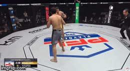 Video: Võ sĩ tung cú