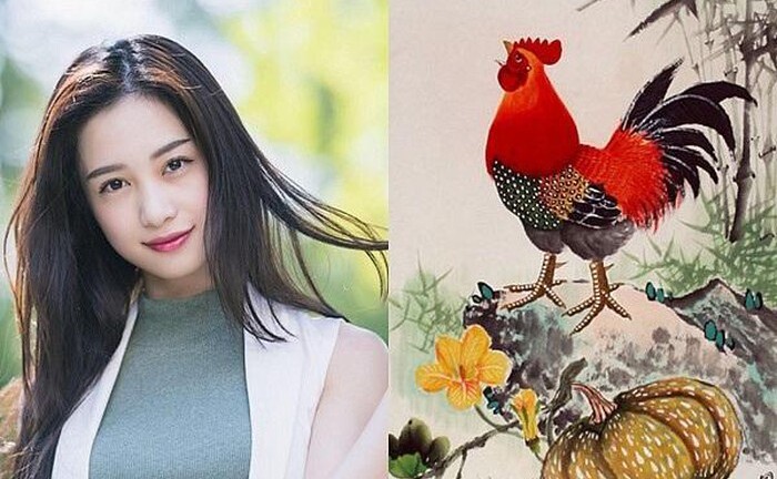 Tử vi đầy đủ cho người tuổi Dậu năm Canh Tý 2020