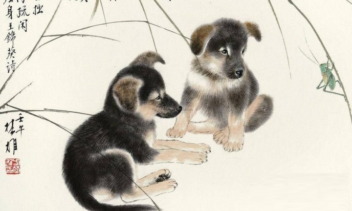 Tử vi đầy đủ cho người tuổi Tuất năm Canh Tý 2020