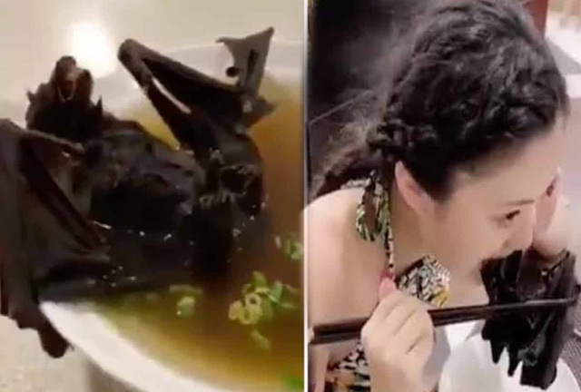 Nữ diễn viên Diệp Tuyền tiết lộ từng bị nhà sản xuất ép ăn chuột, dơi